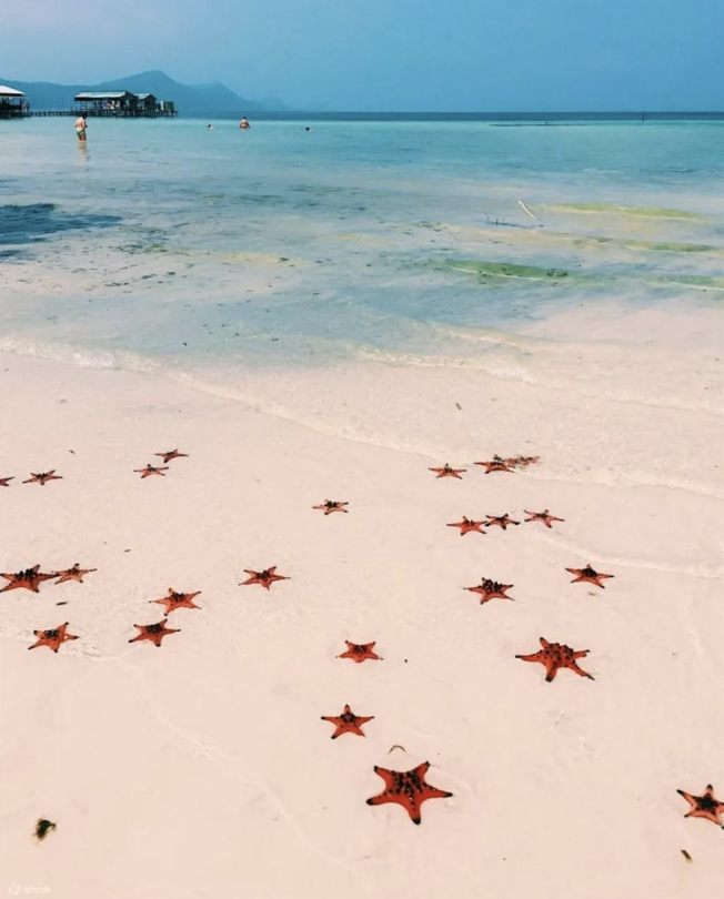 海星沙灘（Starfish Beach）位於富國島北部，9月至翌年4月期間可見橘紅色海星點綴沙灘，畫面夢幻如仙境，成為熱門觀光勝地。